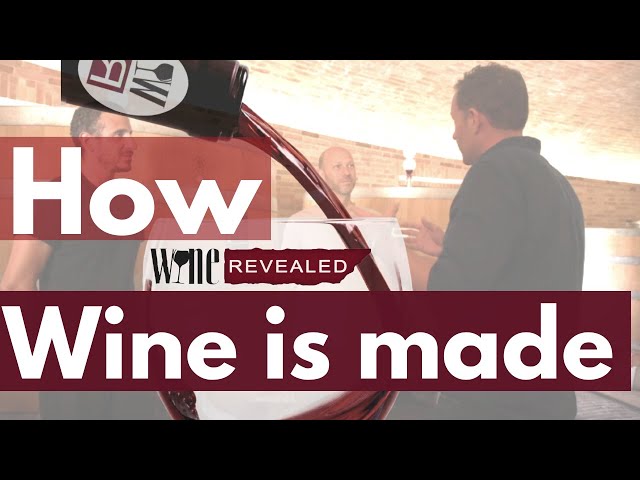 Making Wine In Tuscany Episode 2
