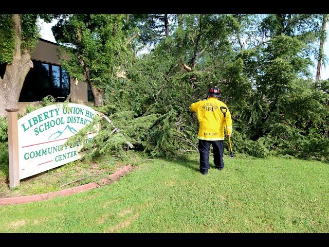 Giant Tree Falls at Brentwood Community Education Center