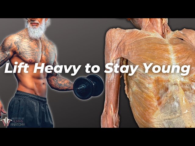 How to Save Your Muscles From Aging