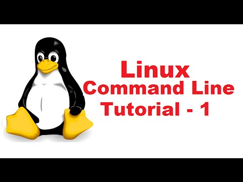 Linux Command Line Tutorial For Beginners | Bash Terminal | Linux Terminal