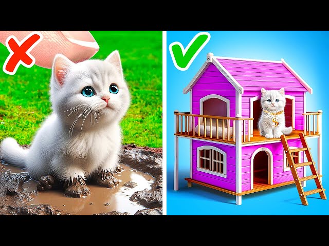 From Broke To Rich Cat 😿 *How To Take Care Of Stray Pet? Gadgets For Pet Owners*