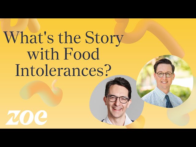 Understanding Food Allergies and Intolerances with Dr Will Bulsiewicz