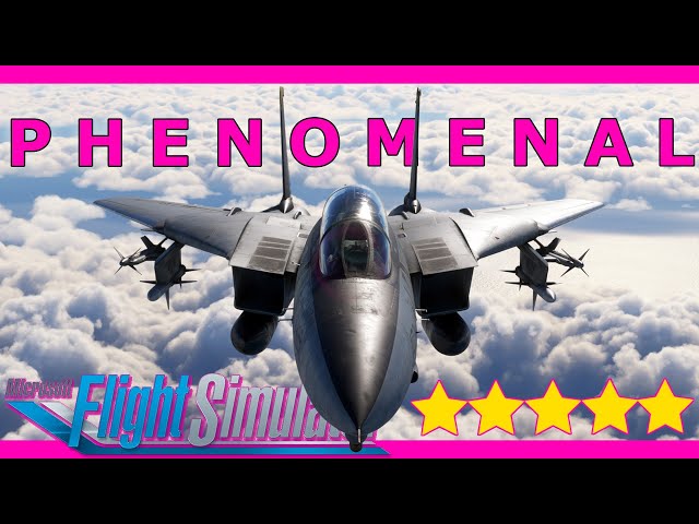 The Best MSFS Aircraft? Heatblur F-14 Tomcat Full Review with a Real Pilot