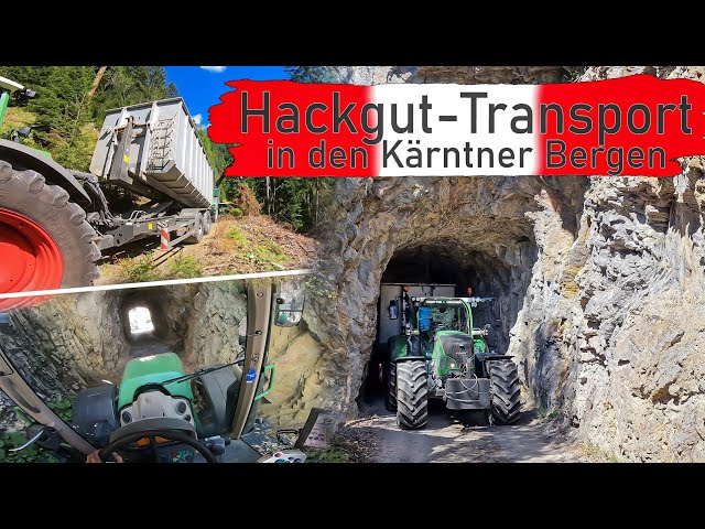 Hackgut-Transport in den Kärntner Bergen | Forstwege extrem❗️ | Fendt Cabview. 🚜