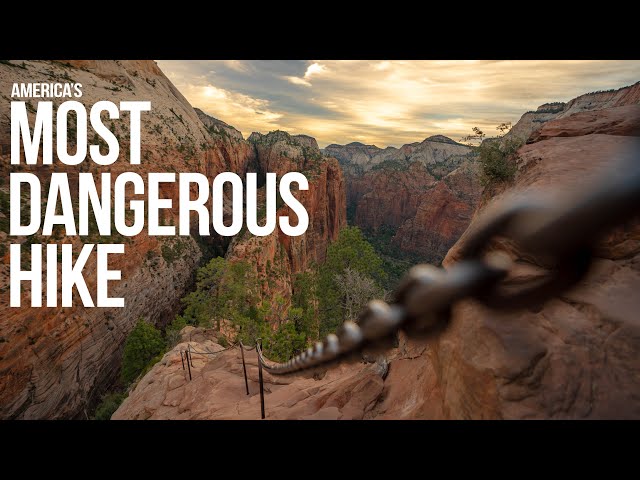 HITCHHIKING To ANGEL'S LANDING In The Middle Of The Night! America's MOST DANGEROUS HIKE?