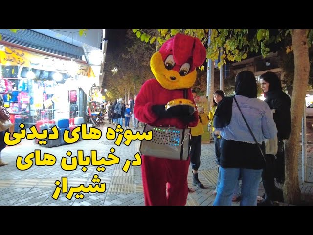 Iran Walking Tour on shiraz - The streets of Shiraz - City Info walk شب های شیراز