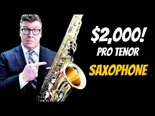 Jean Paul TS 860 - pro tenor sax review!
