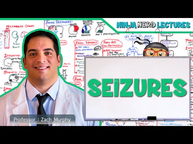 Seizures | Etiology, Pathophysiology, Clinical Features, Treatment, Complications/Status Epilepticus