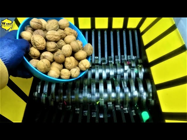 Experiment Shredder! Walnuts and Toys Crushing with Shredding Machine!