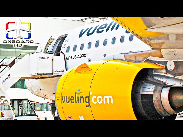 TRIP REPORT | Early-Morning Magic Flights! ツ | Malaga to Tenerife | Vueling A320