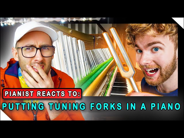 I put 88 TUNING FORKS on my PIANO | Pianist Reacts