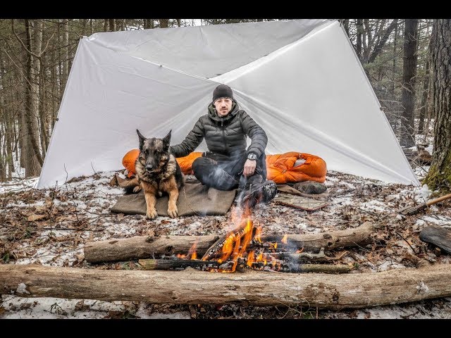 Overnight Winter Bushcraft Camp with a Dog under a White Tarp.