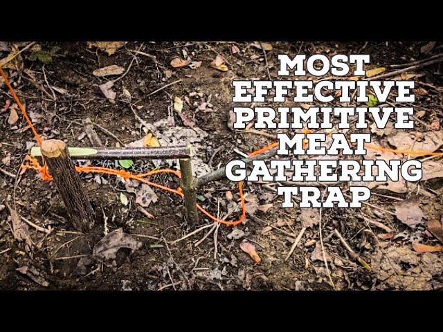 BEST Primitive Meat Gathering Trap