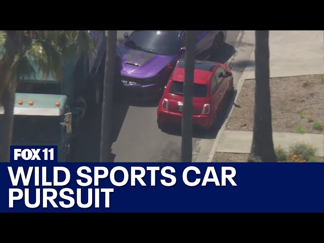 Driver in sports car arrested after wild chase