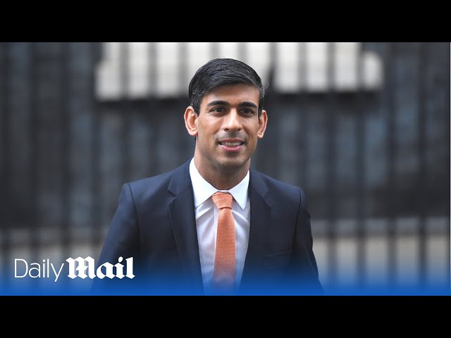 LIVE: British PM Rishi Sunak gives evidence during a Liaison committee session