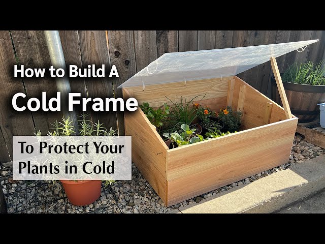 How to Build a Cold Frame to Protect your Plants- An Easy DIY