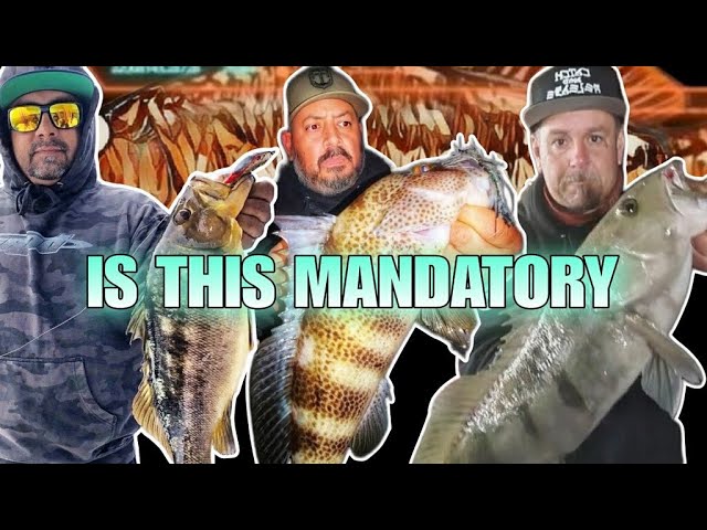 Is This Mandatory - Stuck With Us Ep 16 w/ Friends