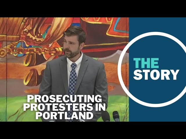 DA Mike Schmidt says his office could prosecute protesters who occupied PSU library
