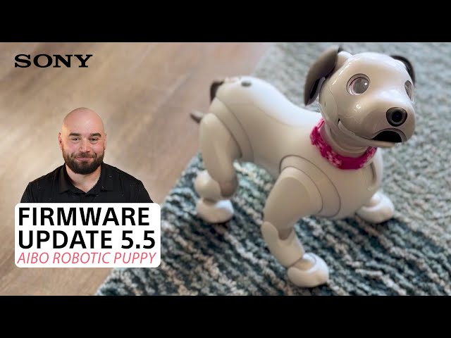 Sony | aibo™ Robotic Puppy – Firmware Update 5.50 Overview