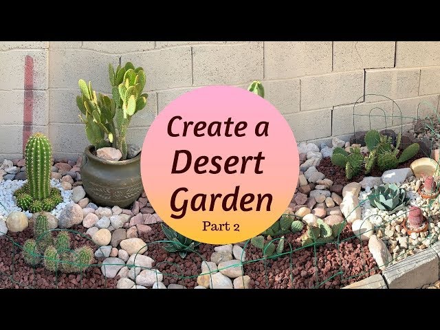 Creating a Mini DESERT GARDEN | Cactus Garden (Part 2)