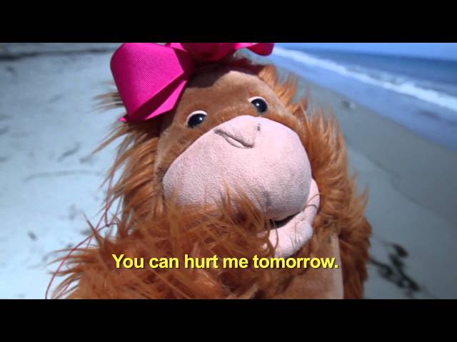 "Hurt Me Tomorrow" (The Ballad of Smelly & Petunia) Lyric Video - K'NAAN
