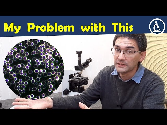 🔬 My Problems with Live Blood Analysis (LBA)