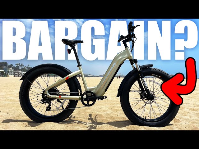Aventon DOES NOT Want You To See This Ebike! Hovsco HovAlpha Review