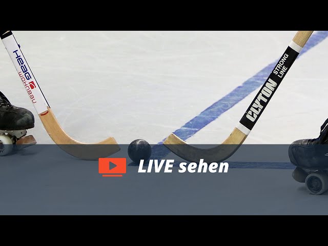 Livestream: "Fans im Osten" zu Gast beim Rollhockey in Gera | Sport im Osten | MDR