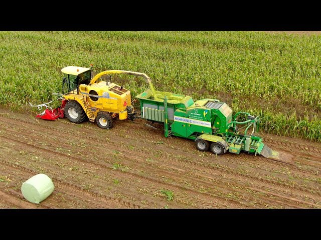 Maize Chopping Baling and Wrapping in one pass | New Holland FX60 & Agronic multibaler NI'J Holthoes