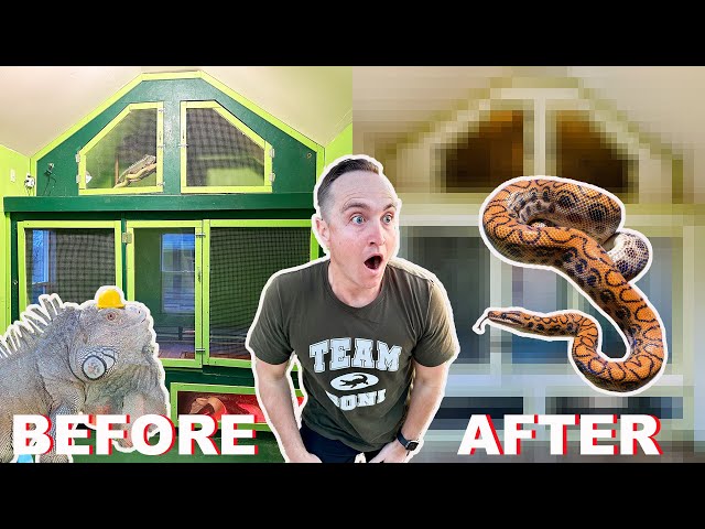 My Animal House Gets An EXTREME Makeover!!! | Plus Alligator Update!