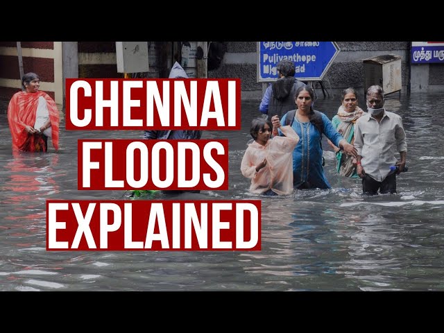 Why Chennai floods | TNM Explains