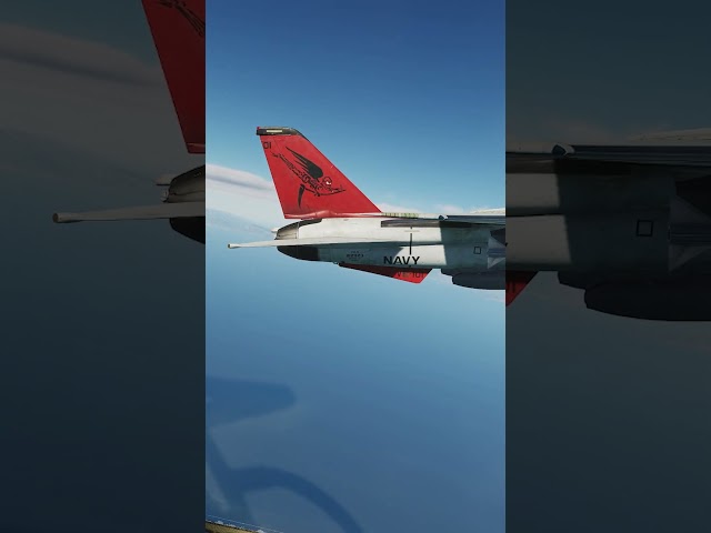 F14 Tomcat: Formation Flying Beauty #shorts