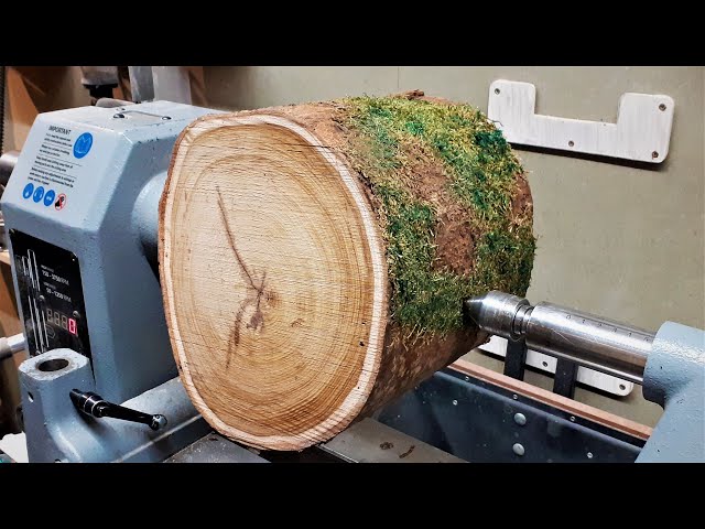 Woodturning - You've Got to Love a Laburnum Log !!