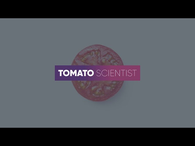 Трейлер канала "Tomato Scientist"