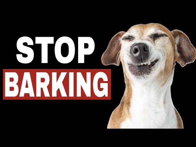 Sounds To Stop Dog Barking  |  HQ