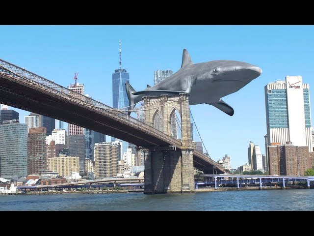 A Walk With a Shark in Times Square