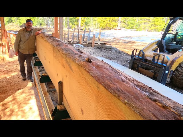 This HUGE Ponderosa Pine LOG Giving Us Board and Batten For Our Barn Build - Woodlands Mills Sawmill