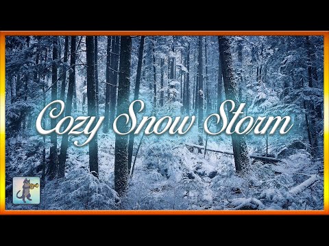 ❄️ Snow Videos #2