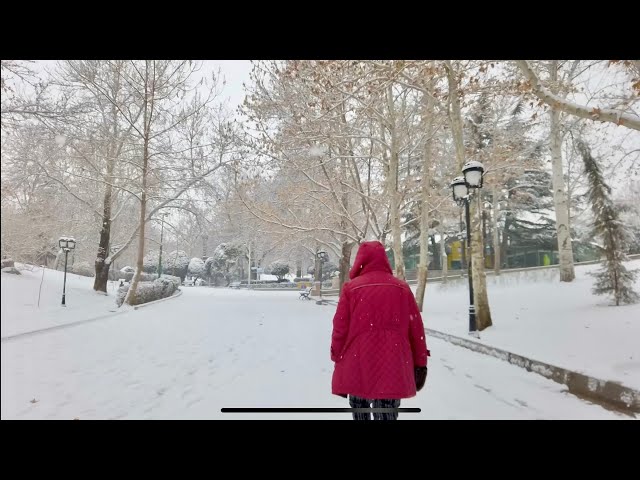 Iran Tehran winter walk tour 2023 #iran #tehran #winter  #snow #2023