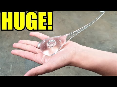 World's Largest Prince Rupert's Drops!