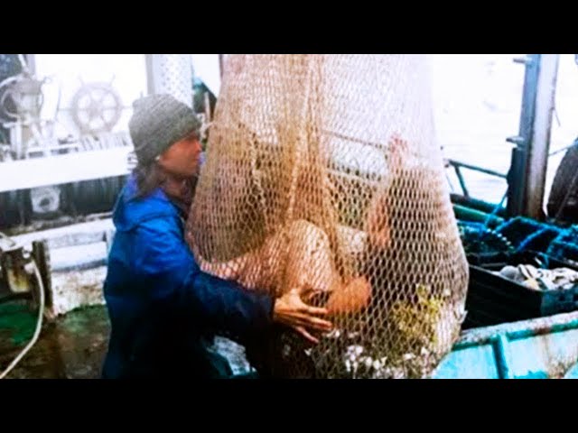 He didn't Realize it wasn't a Fish, Threw the Net and Look at the Surprise he Got!