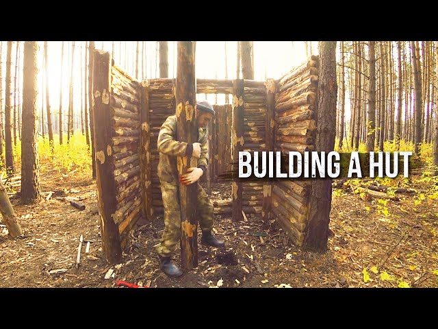 Building a hut in the forest. First experience. Part 4.