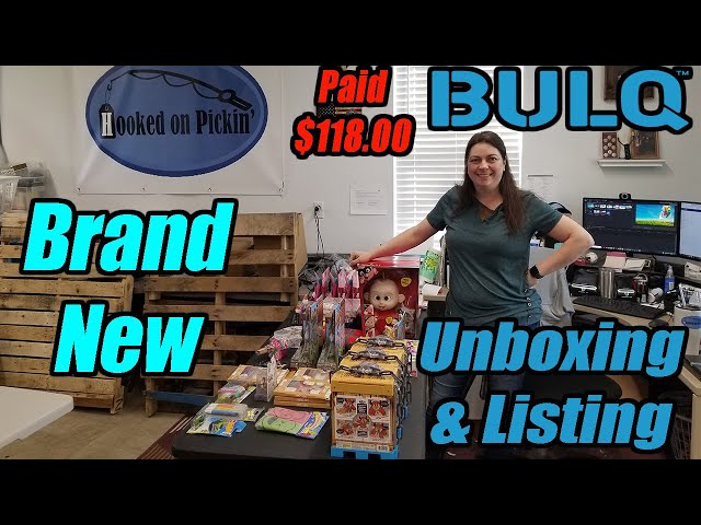 Bulq.com Unboxing & Profit Numbers - Where will I sell Everything? How much money will I make?