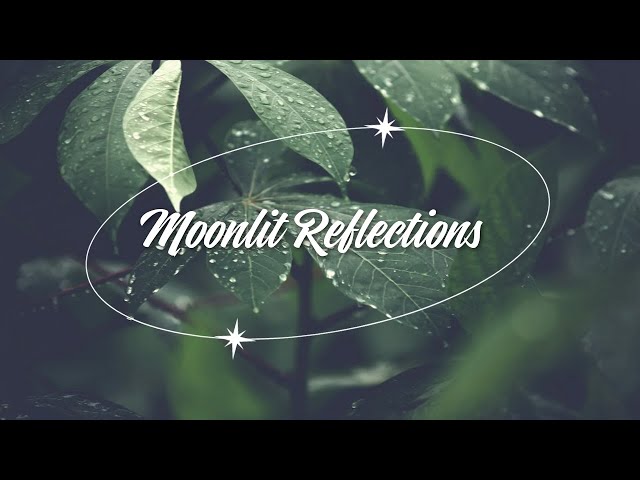 Moonlit Reflections - Piano Relax Music