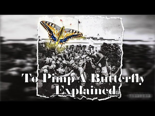 Kendrick Lamar's To Pimp A Butterfly - Full Explanation and Analysis