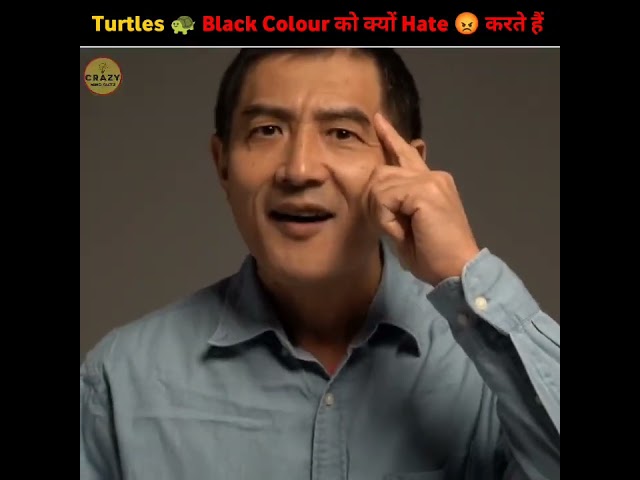 कछुए 🐢 black colour को Hate 😡 क्यों करते हैं | turtles hate black colour | Crazy Mind Factz #shorts