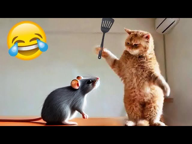 YOU LAUGH YOU LOSE😍Best Funny Animals Video 2024😹🐶Part 12