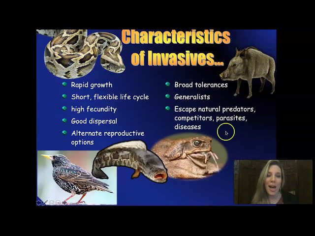 Invasion of the Ecosystem Snatchers: Invasive Species