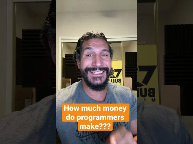 How much money do programmers make?