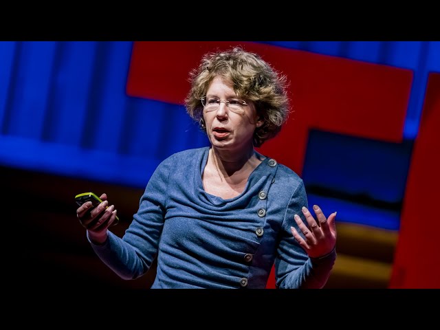 The Other Side of Physics | Sabine Hossenfelder | TEDxNewcastle